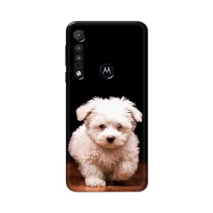PRINTFIDAA Printed Hard Back Cover Case for