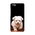 PRINTFIDAA Printed Hard Back Cover Case for