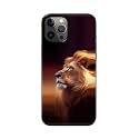 PRINTFIDAA Printed Hard Back Cover Case for