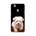 PRINTFIDAA Printed Hard Back Cover Case for