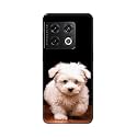 PRINTFIDAA Printed Hard Back Cover Case for