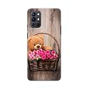 PRINTFIDAA Roses and Teddy Bear in The