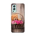 PRINTFIDAA Roses and Teddy Bear in The