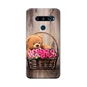 PRINTFIDAA Roses and Teddy Bear in The