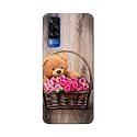 PRINTFIDAA Roses and Teddy Bear in The