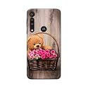 PRINTFIDAA Roses and Teddy Bear in The