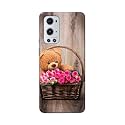 PRINTFIDAA Roses and Teddy Bear in The