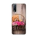 PRINTFIDAA Roses and Teddy Bear in The