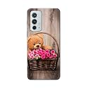 PRINTFIDAA Roses and Teddy Bear in The