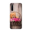 PRINTFIDAA Roses and Teddy Bear in The