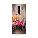 PRINTFIDAA Roses and Teddy Bear in The
