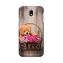 PRINTFIDAA Roses and Teddy Bear in The