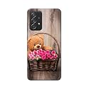 PRINTFIDAA Roses and Teddy Bear in The
