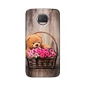 PRINTFIDAA Roses and Teddy Bear in The