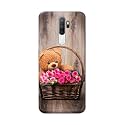 PRINTFIDAA Roses and Teddy Bear in The