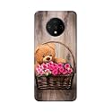 PRINTFIDAA Roses and Teddy Bear in The