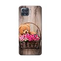 PRINTFIDAA Roses and Teddy Bear in The