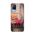 PRINTFIDAA Roses and Teddy Bear in The