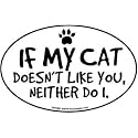 Prismatix Whimsical Black Cat Car or Fridge Magnet, 6 x 4 Inches, 1 Pack