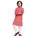Pro-Ethic Style Developer Boys Silk Floral Kurta