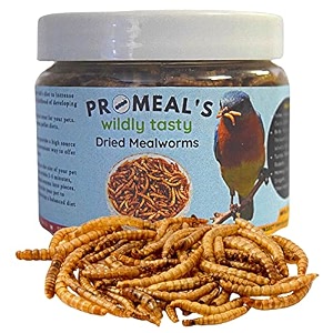 pro-meal dried mealworms - high protien treat food for aquarium fishes like arowana flowerhorn amp birds reptiles monkeys amp other pets of all life stages 30gm 1 count