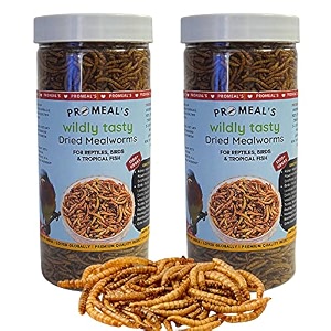 pro-meal dried mealworms - high protien treat food for aquarium fishes like arowana flowerhorn and birds reptiles monkeys and other pets 500gmall life stages 1 count
