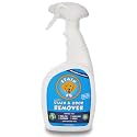 Pet Stain &amp; Odor Remover – Carpet Cleaner Spray for Dog &amp; Cat Urine, Feces, Vomit, Coffee &amp; Wine Stains – Upholstery, Rugs &amp; Furniture Cleaner – 24 oz