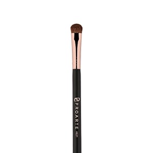 proarte eyelid applicator brush black 100 g