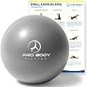 ProBody Pilates Ball Small — 9 Inch Small Exercise Ball