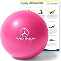 ProBody Pilates Ball Small — 9 Inch Small Exercise Ball