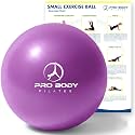 ProBody Pilates Ball Small — 9 Inch Small Exercise Ball
