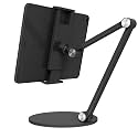 ProElite Mutli Angle Aluminum Tablet Stand Desk Holder for Apple iPad, iPhones, Galaxy Tab, Xiaomi Pad, Redmi Pad, Oneplus Pad,Lenovo Tab, Kindle Upto 12.9 inch, Space Grey