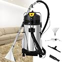 Professional Carpet Cleaning Machine,Carpet Cleaner Machine Multifunction,Wet Dry Cleaning,Heavy Duty Dust Extractor (20L/5.28gal)