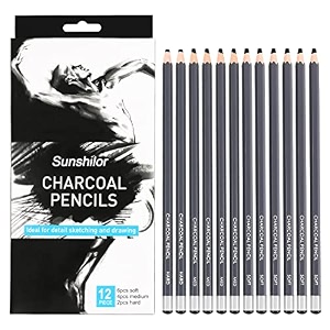 sunshilor professional charcoal pencils drawing set - 12 pieces soft medium and hard charcoal pencils for drawing sketching shading artist pencils for beginners amp artists