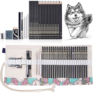 professional sketching kit with sharpener amp zippered carry case  complete graphite charcoal amp shading pencil set for beginners amp artists nyoni 29 pc sketch set