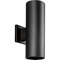 Progress Lighting 2-Light Outdoor Wall Lantern Light, Black