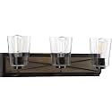 Progress Lighting Briarwood Collection 3-Light Clear Glass Antique Bronze Farmhouse Bath Vanity Light