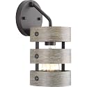 Progress Lighting P710031-143 Gulliver Sconce, Graphite, 12.00x6.00x6.00