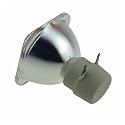 Projector Lamp fit BL-FU190D / SP.8TM01GC01 BL-FU190A for DM191 DS229 DS339 DW326 DW339 DX229 DX339 EC280X ES555 ES556 EW555 EW556 T662 projectors(BL-FU190D-CB)