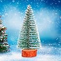 ProKart Premium Mini Christmas Tree, Small Pine Tree with Wooden Bases | Xmas Tree Decorations Hanging for Home, Birthday, Valentine's, Christmas Funny Party &amp; New Year Party (Xmas Grassgreen Tree)