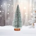 ProKart Premium Mini Christmas Tree, Small Pine Tree with Wooden Bases | Xmas Tree Decorations Hanging for Home, Birthday, Valentine's, Christmas Funny Party &amp; New Year Party (Xmas Green Tree)