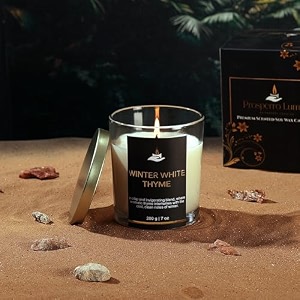 prosperro lumo by parkash candles premium scented soy wax candle 200 gm 25-30 hrs luxury aroma therapy votive jar scented candles for home decor gift set winter white thyme