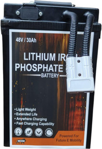 PROSSPA Lithium Iron Phosphate LFP Battery -