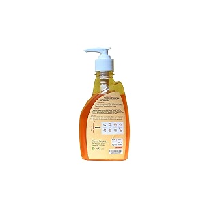 protection liquid handwash dispenser bottle pump 250ml  kills 999 germs  liquid handwash fights bacteria amp viruses pack of 1
