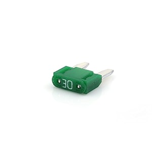 protectron mini blade fuse-30 amppack of 100 fuses