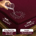 PROTEXIA Double King Queen Size Fitted Cotton