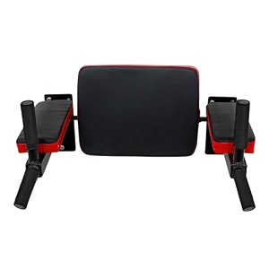 protoner padded dips bar for back and core exercises