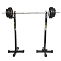 Protoner Power Squat Stand Free Standing