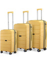 PROVOGUE Cascade Expandable Cabin Check-in