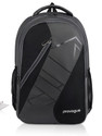 PROVOGUE Large 42 L Laptop Backpack Unisex Padded Office/College Backpack for 15.6 inch laptop (Grey)